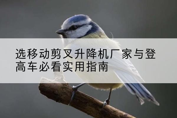 伊美电动升降机厂家-选移动剪叉升降机厂家与登高车必看实用指南
