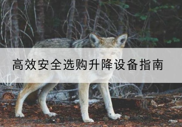 伊美升降货梯厂家推荐-*安全选购升降设备指南
